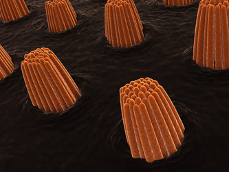 Similar image 8212645