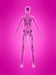 Similar image 8212656