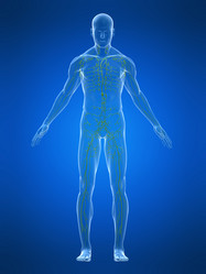 Similar image 8212663