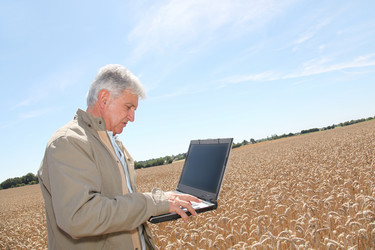 Similar image 8212682