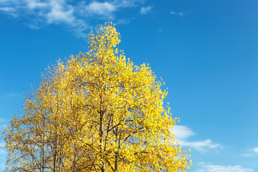 Similar image 8212690