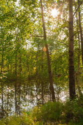 Similar image 8212696