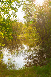 Similar image 8212697