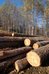 Similar image 8212713