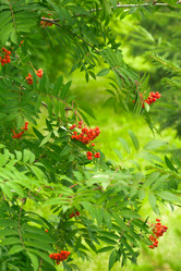 Similar image 8212716