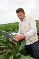 Similar image 8212756