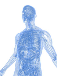 Similar image 8212765