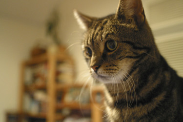 Similar image 8212770