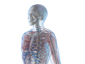 Similar image 8212778