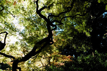 Similar image 8212823