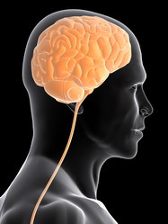 Similar image 8212840