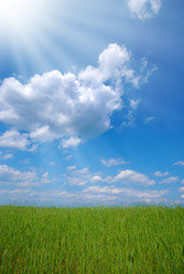 Similar image 8212902