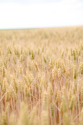 Similar image 8212928