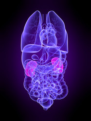 Similar image 8212953