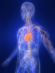 Similar image 8213008