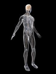 Similar image 8213036