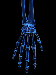 Similar image 8213038