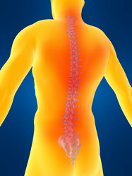 Similar image 8213039