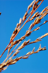 Similar image 8213051