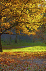 Similar image 8213076