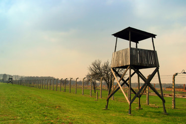 Similar image 8213092