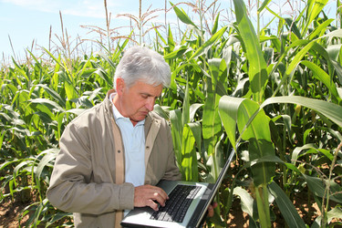 Similar image 8213133