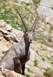 Similar image 8213138