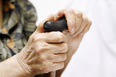 Similar image 8213163