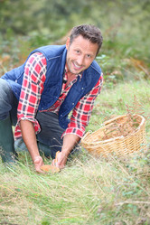 Similar image 8213200