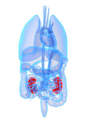 Similar image 8213207