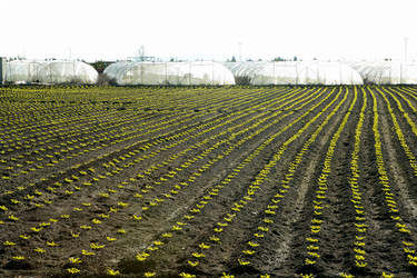 Similar image 8213217