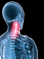 Similar image 8213229