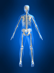 Similar image 8213373