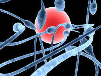 Similar image 8213384