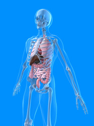 Similar image 8213453