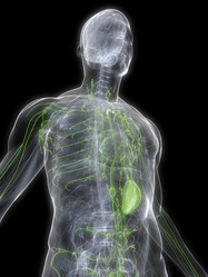 Similar image 8213458