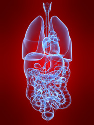 Similar image 8213482