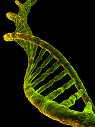 Similar image 8213568