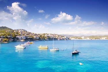 Similar image 8213595