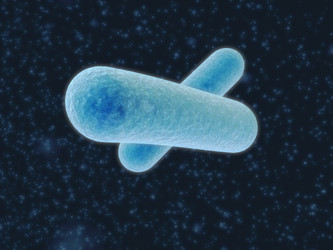 Similar image 8213627