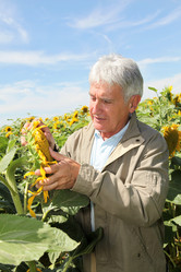 Similar image 8213667