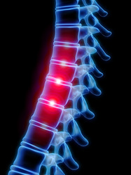 Similar image 8213695