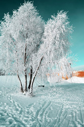 Similar image 8213718