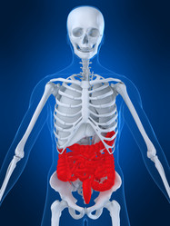 Similar image 8213737