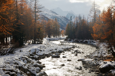 Similar image 8213755