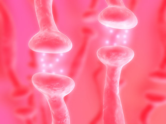 Similar image 8213851