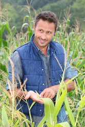 Similar image 8213958