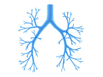 Similar image 8213959