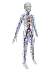 Similar image 8213983