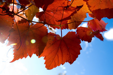 Similar image 8213986